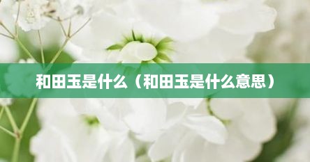 和田玉是什么（和田玉是什么意思）