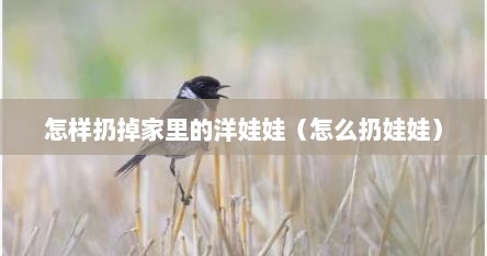 怎样扔掉家里的洋娃娃（怎么扔娃娃）