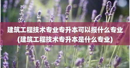 建筑工程技术专业专升本可以报什么专业(建筑工程技术专升本是什么专业)