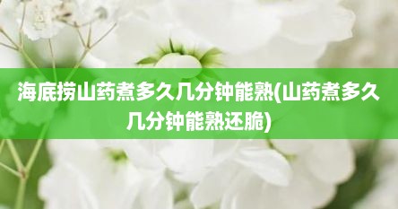 海底捞山药煮多久几分钟能熟(山药煮多久几分钟能熟还脆)