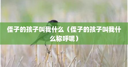 侄子的孩子叫我什么（侄子的孩子叫我什么称呼呢）