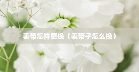 表带怎样更换（表带子怎么换）