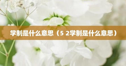 学制是什么意思（5 2学制是什么意思）