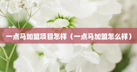 一点马加盟项目怎样（一点马加盟怎么样）