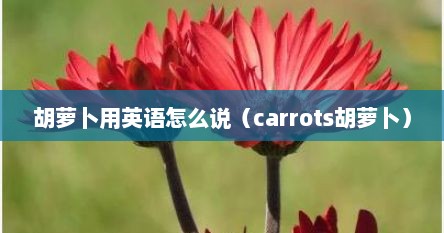 胡萝卜用英语怎么说（carrots胡萝卜）