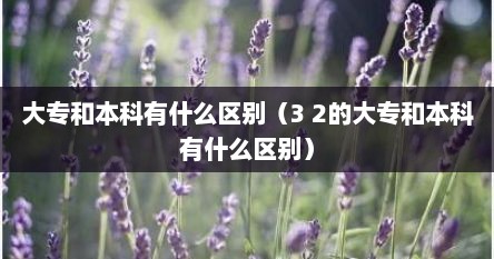 大专和本科有什么区别（3 2的大专和本科有什么区别）