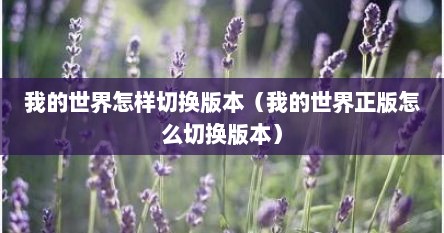 我的世界怎样切换版本（我的世界正版怎么切换版本）