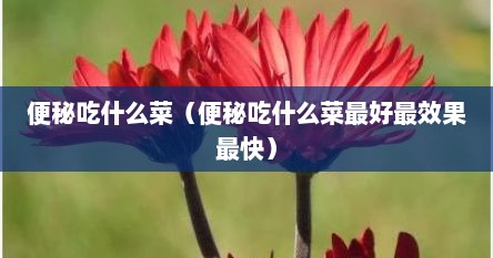 便秘吃什么菜（便秘吃什么菜最好最效果最快）