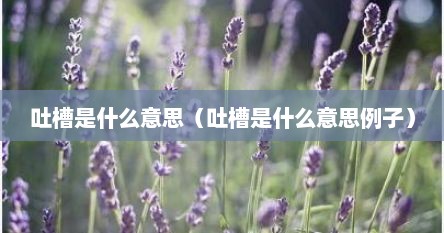吐槽是什么意思（吐槽是什么意思例子）