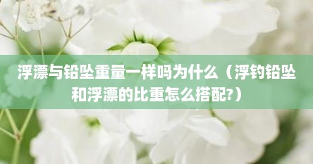 浮漂与铅坠重量一样吗为什么(浮钓铅坠和浮漂的比重怎么搭配?)