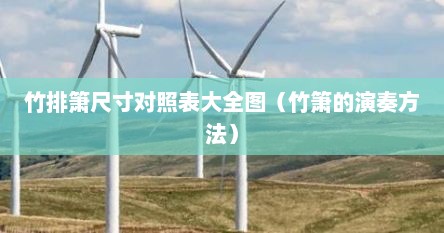竹排箫尺寸对照表大全图（竹箫的演奏方法）