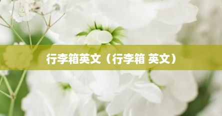 行李箱英文（行李箱 英文）