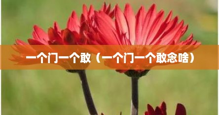 一个门一个敢（一个门一个敢念啥）