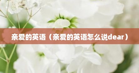 亲爱的英语（亲爱的英语怎么说dear）