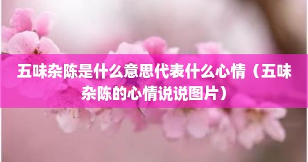 五味杂陈是什么意思代表什么心情（五味杂陈的心情说说图片）