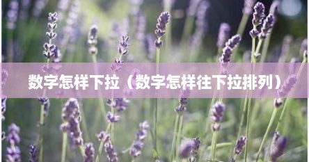 数字怎样下拉（数字怎样往下拉排列）