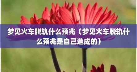 梦见火车脱轨什么预兆（梦见火车脱轨什么预兆是自己造成的）