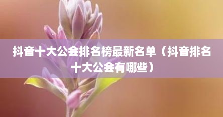 抖音十大公会排名榜最新名单（抖音排名十大公会有哪些）