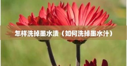 怎样洗掉墨水渍（如何洗掉墨水汁）