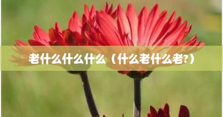 老什么什么什么（什么老什么老?）