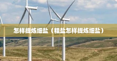 怎样提炼细盐（粗盐怎样提炼细盐）