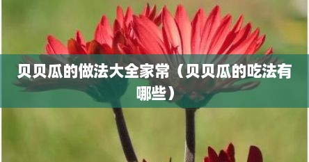 贝贝瓜的做法大全家常（贝贝瓜的吃法有哪些）