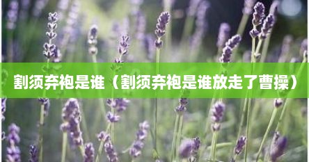 割须弃袍是谁（割须弃袍是谁放走了曹操）