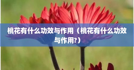 桃花有什么功效与作用（桃花有什么功效与作用?）