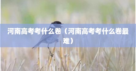 河南高考考什么卷（河南高考考什么卷最难）