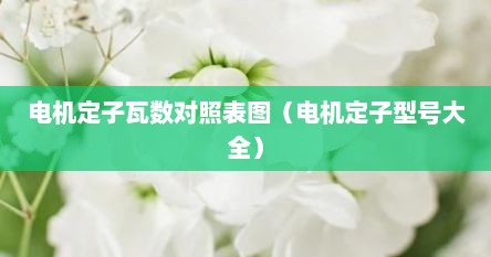 电机定子瓦数对照表图（电机定子型号大全）