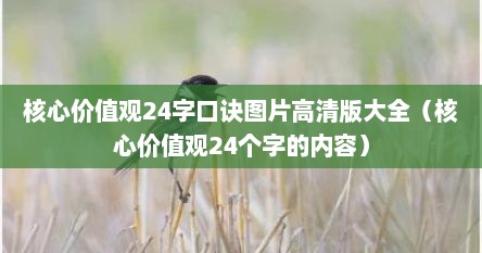 核心价值观24字口诀图片高清版大全（核心价值观24个字的内容）