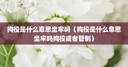 拘役是什么意思坐牢吗（拘役是什么意思坐牢吗拘役或者管制）