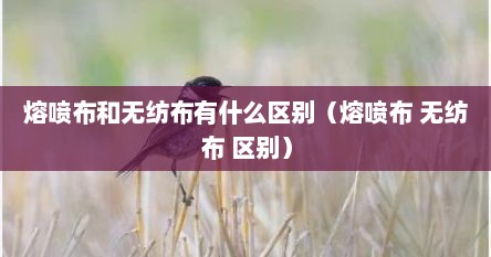 熔喷布和无纺布有什么区别（熔喷布 无纺布 区别）