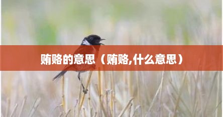 贿赂的意思（贿赂,什么意思）