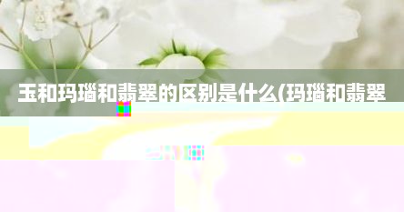 玉和玛瑙和翡翠的区别是什么(玛瑙和翡翠的区别视频)