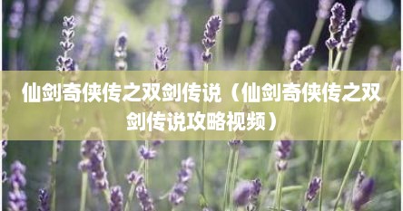 仙剑奇侠传之双剑传说（仙剑奇侠传之双剑传说攻略视频）