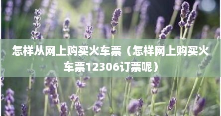 怎样从网上购买火车票（怎样网上购买火车票12306订票呢）