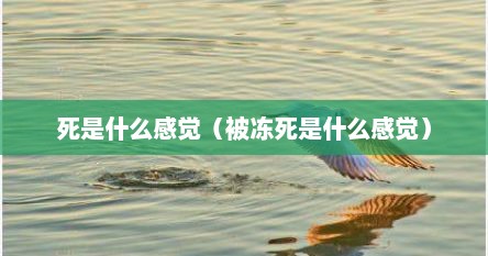 死是什么感觉（被冻死是什么感觉）