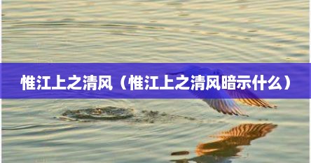 惟江上之清风（惟江上之清风暗示什么）