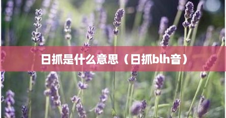 日抓是什么意思（日抓blh音）