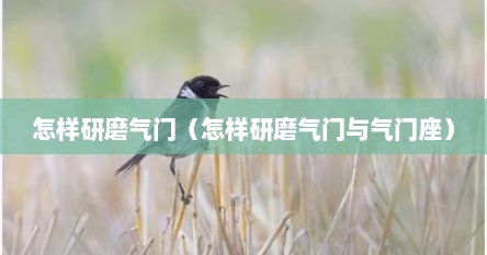 怎样研磨气门（怎样研磨气门与气门座）