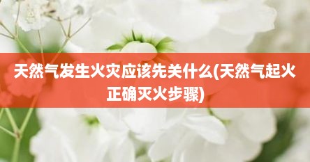 天然气发生火灾应该先关什么(天然气起火正确灭火步骤)