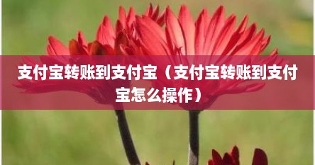 支付宝转账到支付宝（支付宝转账到支付宝怎么操作）