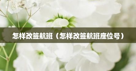 怎样改签航班（怎样改签航班座位号）