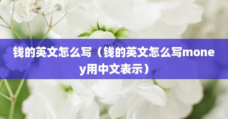 钱的英文怎么写（钱的英文怎么写money用中文表示）