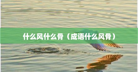 什么风什么骨（成语什么风骨）