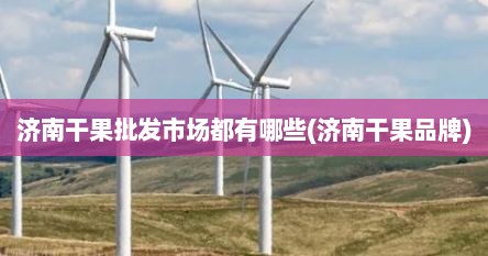 济南干果批发市场都有哪些(济南干果品牌)