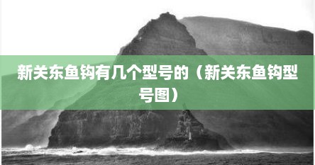 新关东鱼钩有几个型号的（新关东鱼钩型号图）