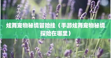 炫舞宠物秘境冒险挂（手游炫舞宠物秘境探险在哪里）
