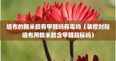 墙布的糯米胶有甲醛吗有毒吗（装修时贴墙布用糯米胶含甲醛超标吗）